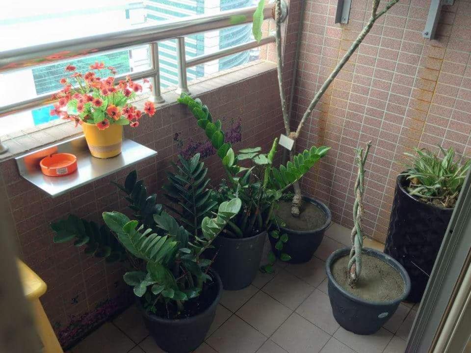 Jia Jia House Apartment Kaohsiung Luaran gambar